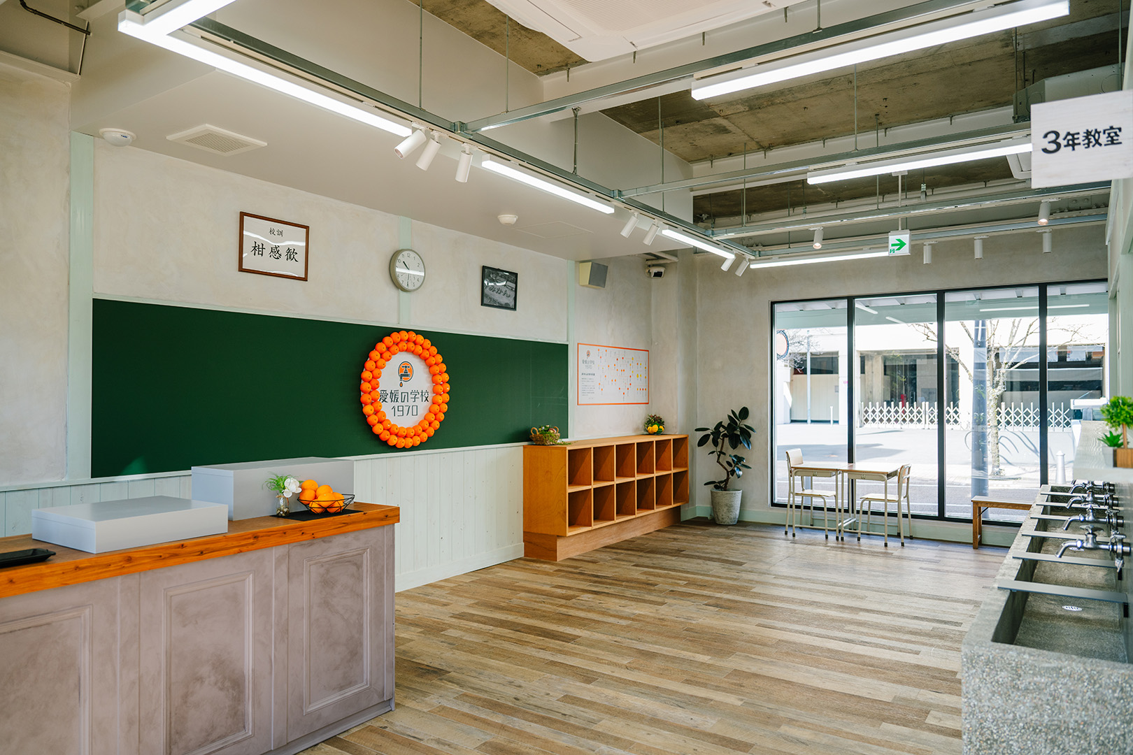 愛媛の学校<br />１９７０<br />なましぼり学園<br />